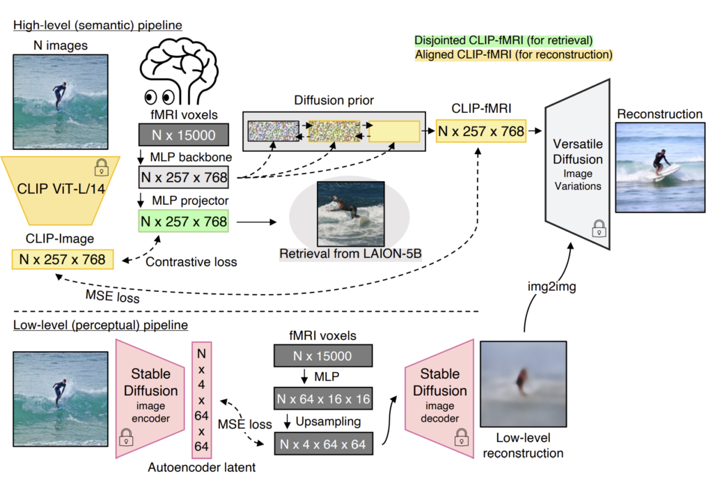 AI See What You See: Mind’s Eye is an AI Model That Can Reconstruct Brain Scans into Images