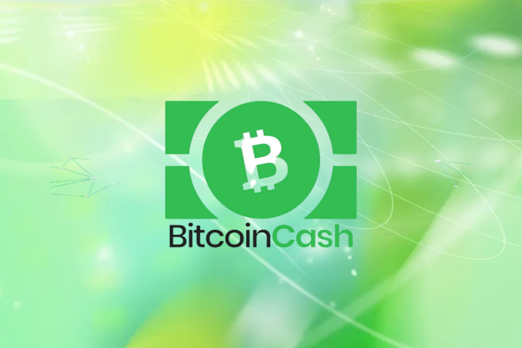 Bitcoin Cash Pumps 32% in 24 Hours? What's Going On?