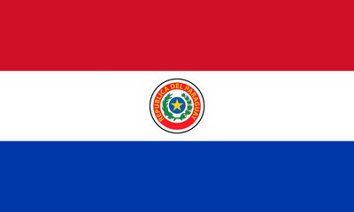 Is Paraguay Looking to Make BTC Legal Tender?