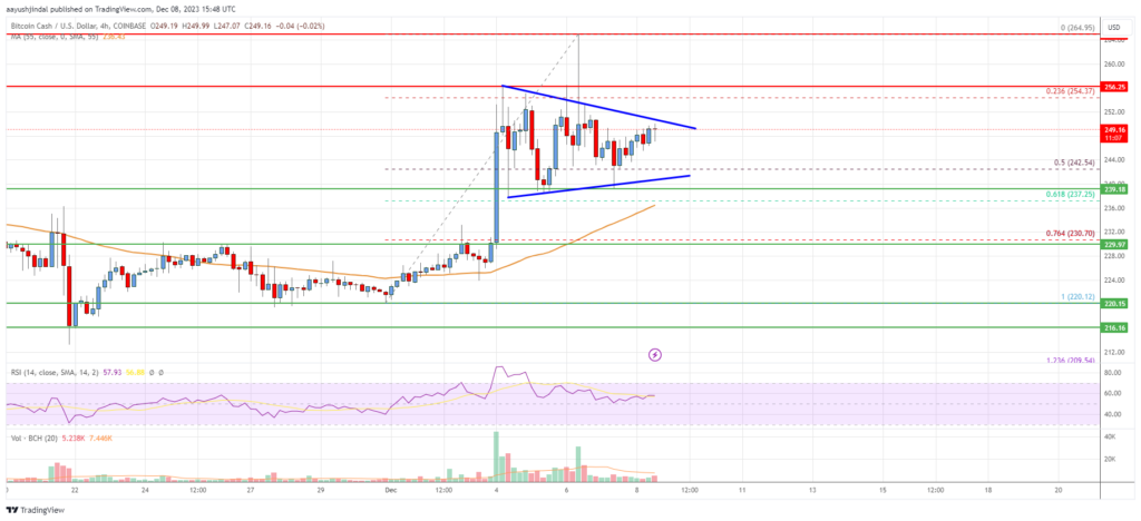 Bitcoin Cash Price