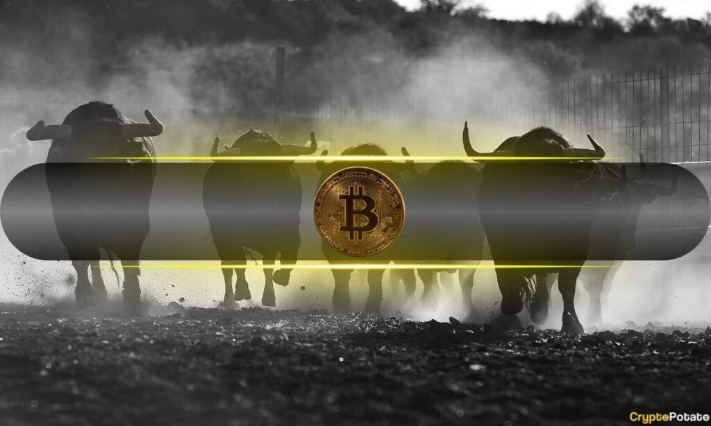 How Is This Bitcoin (BTC) Bull Run Different Than All Previous Ones? (Pre-Halving Analysis)