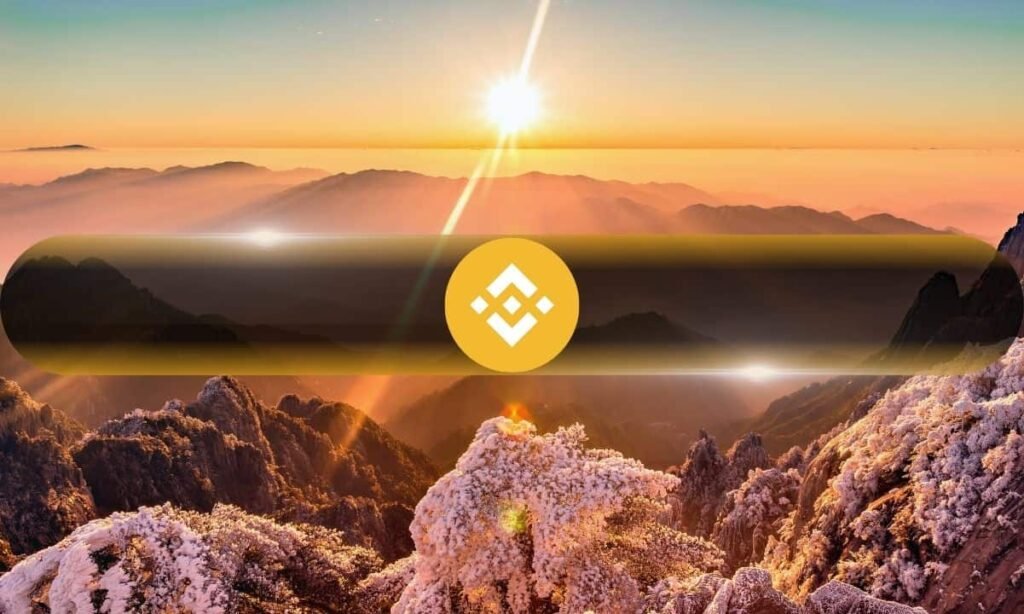 Binance Coin (BNB) Skyrockets to New All-Time High, Market Cap Bigger Than UBS, Starbucks