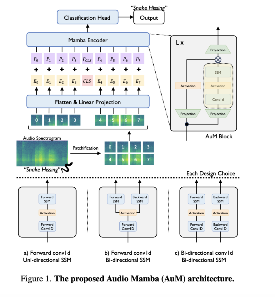 Taming Long Audio Sequences: Audio Mamba Achieves Transformer-Level Performance Without Self-Attention