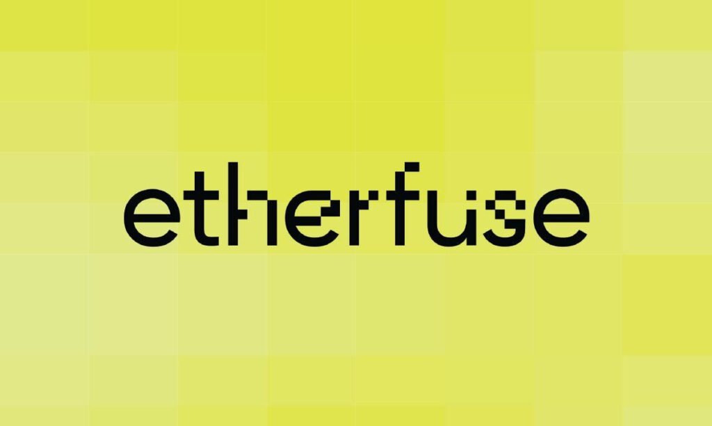 Etherfuse Raises $3M to Bring Emerging Market Debt On-chain