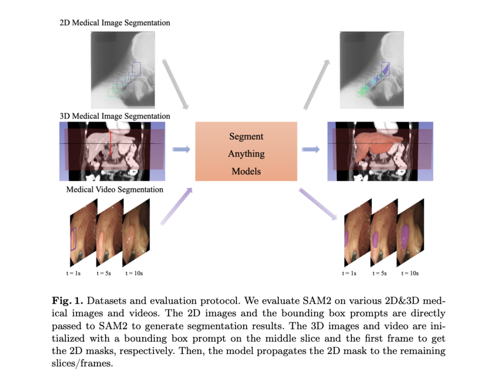 Comparative Evaluation of SAM2 and SAM1 for 2D and 3D Medical Image Segmentation: Performance Insights and Transfer Learning Potential