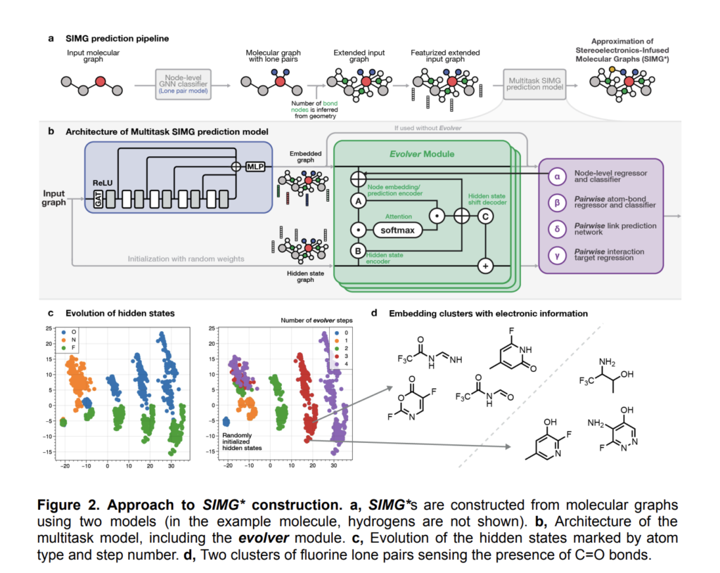 Integrating Stereoelectronic Effects into Molecular Graphs: A Novel Approach for Enhanced Machine Learning Representations and Molecular Property Predictions