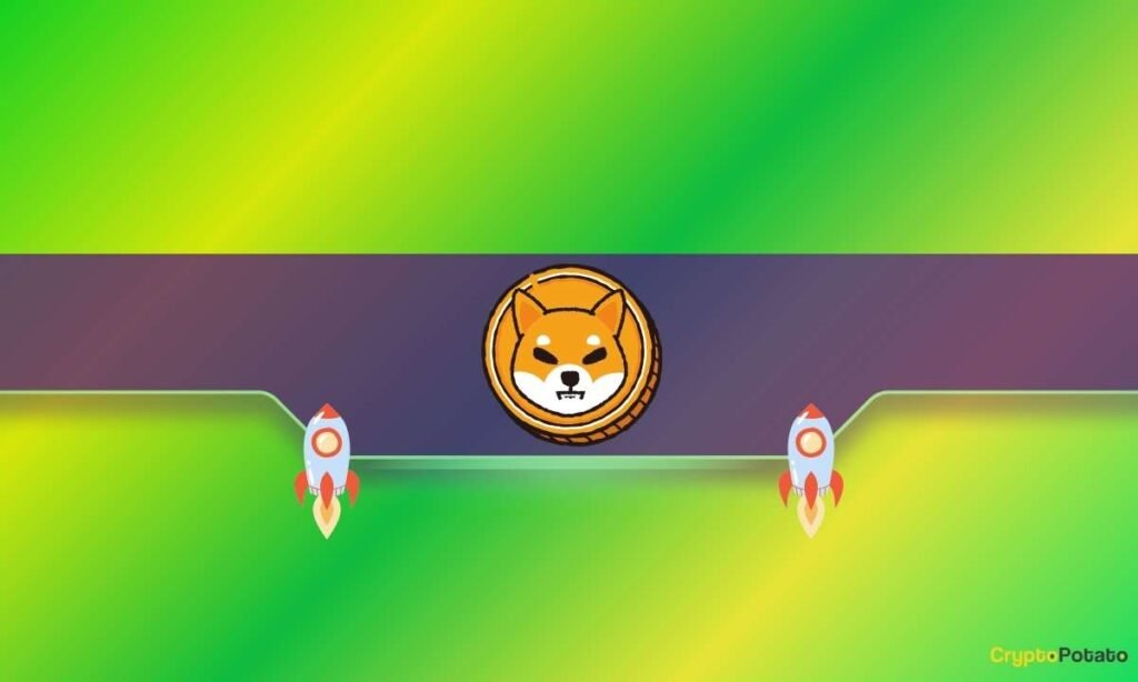 Why is the Shiba Inu (SHIB) Price Up Today?