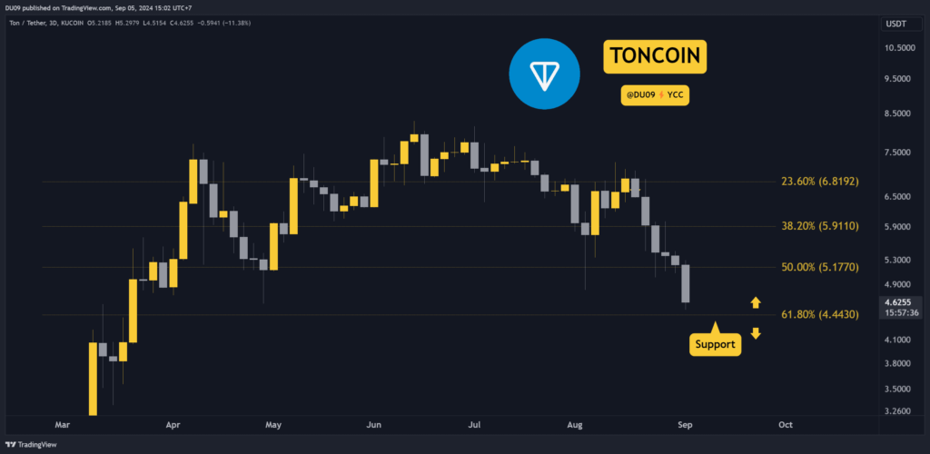 Why Did Toncoin Plummet 18% This Week and What's Next?