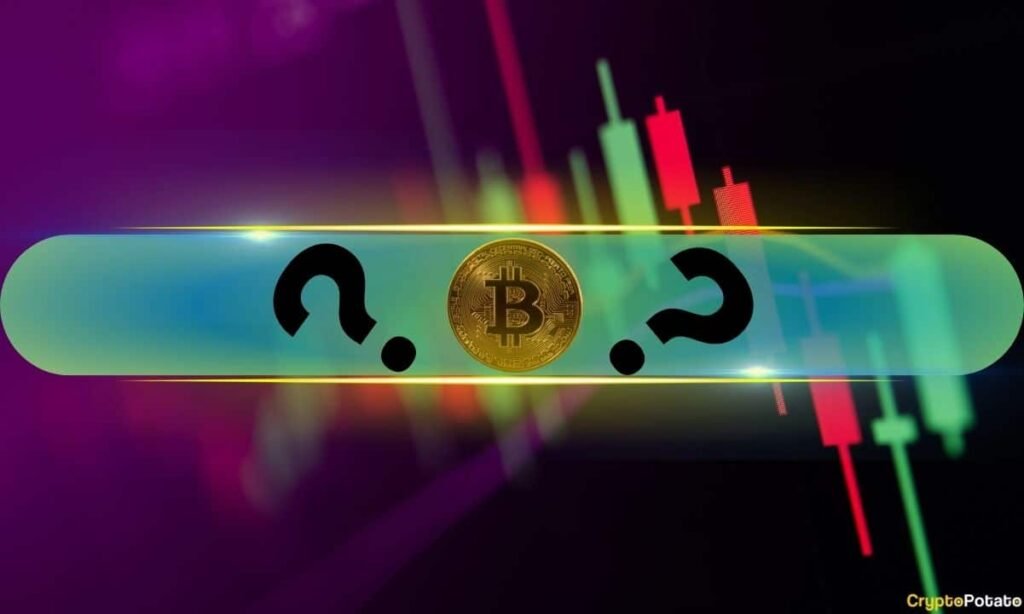 These Alts Surge by Double Digits as Bitcoin (BTC) Calms After New All-Time High (Market Watch)