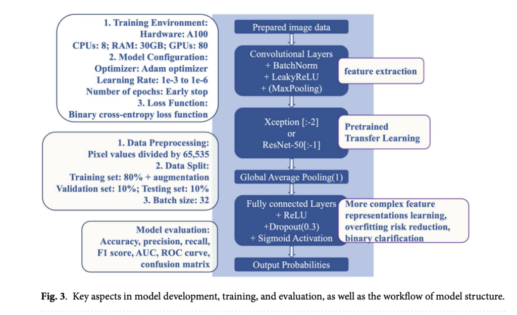 Enhancing Breast Cancer Diagnosis: A Transparent, Reproducible Workflow Using CBIS-DDSM and Advanced Machine Learning Techniques