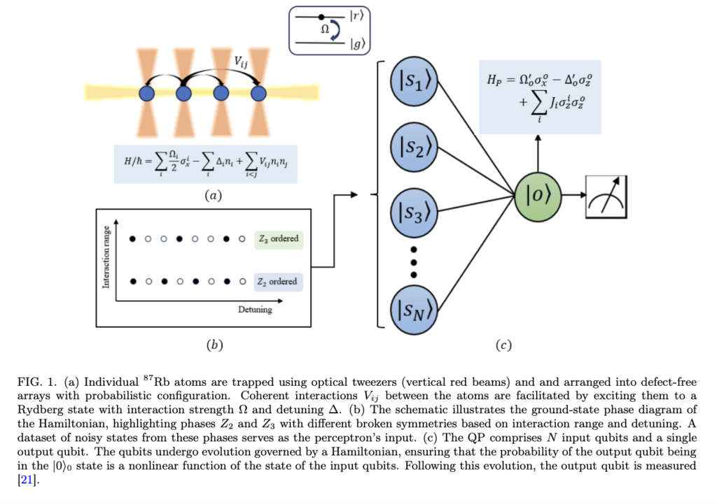 Quantum Neuromorphic Computing: Implementing Scalable Quantum Perceptrons