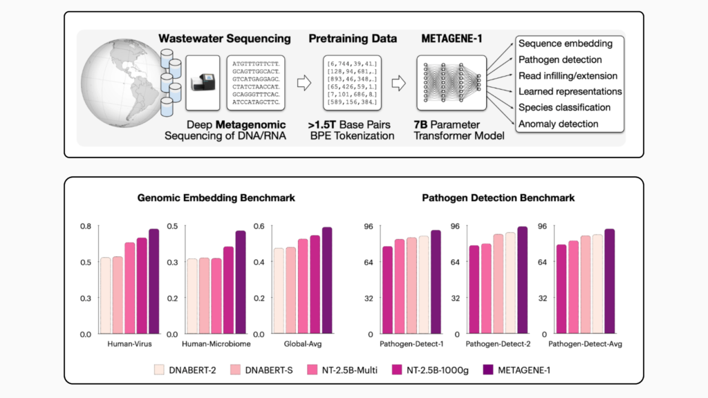 Researchers from USC and Prime Intellect Released METAGENE-1: A 7B Parameter Autoregressive Transformer Model Trained on Over 1.5T DNA and RNA Base Pairs