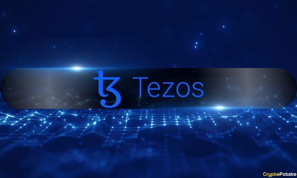 Tezos Sees Rising Revenue but Declining Activity as Users Shift to Layer 2