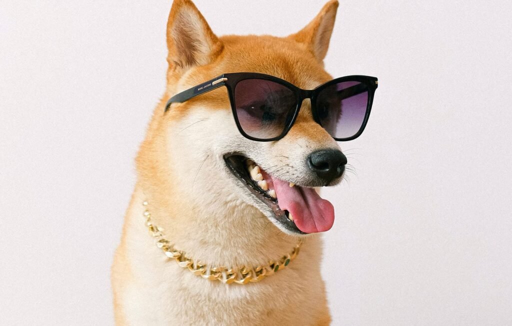 Dogecoin To $1.35? Analyst Predicts Milestone ‘Within 70 Days’