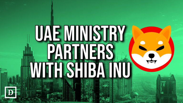 UAE Embrace Shiba Inu as Web3 Project Platform