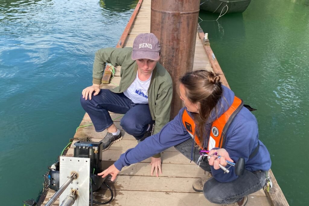 Streamlining data collection for improved salmon population management | MIT News