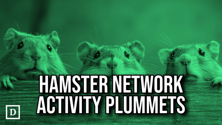 Activity on Hamster Kombat’s Layer 2 Network Plummets 99%