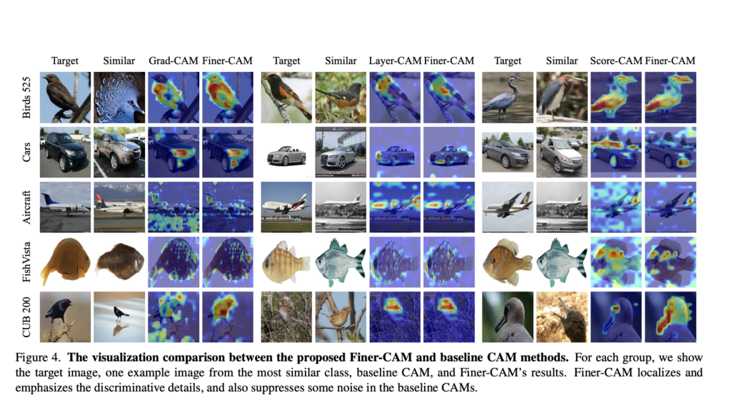 Finer-CAM Revolutionizes AI Visual Explainability: Unlocking Precision in Fine-Grained Image Classification